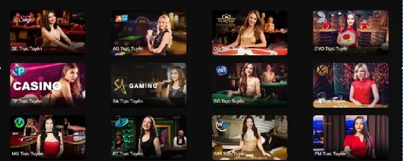  Live Casino 